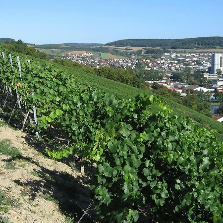 ホテル Weinstube Schwalbennest カールスシュタット エクステリア 写真