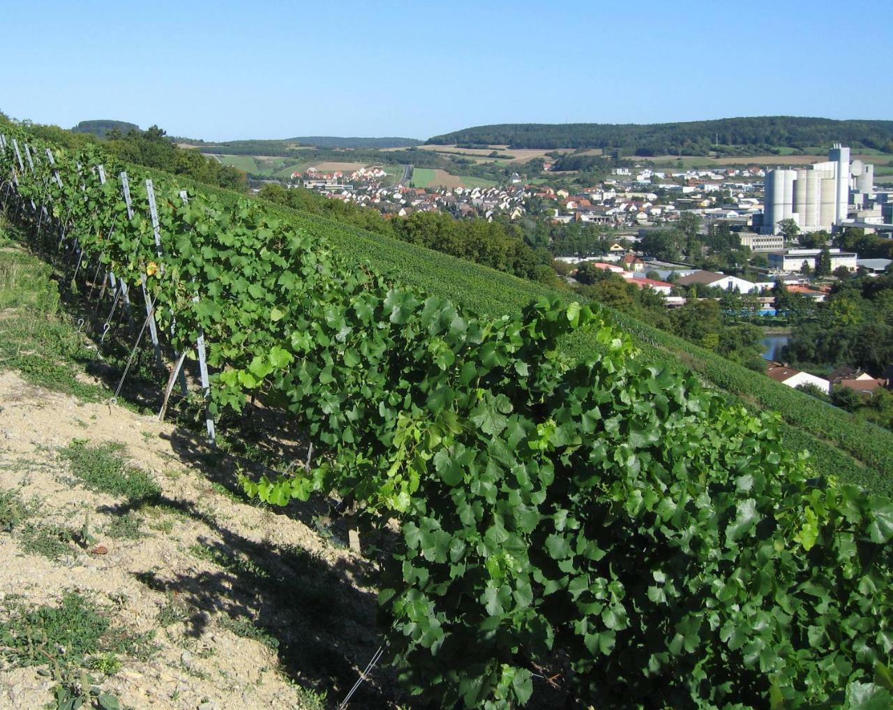 ホテル Weinstube Schwalbennest カールスシュタット エクステリア 写真